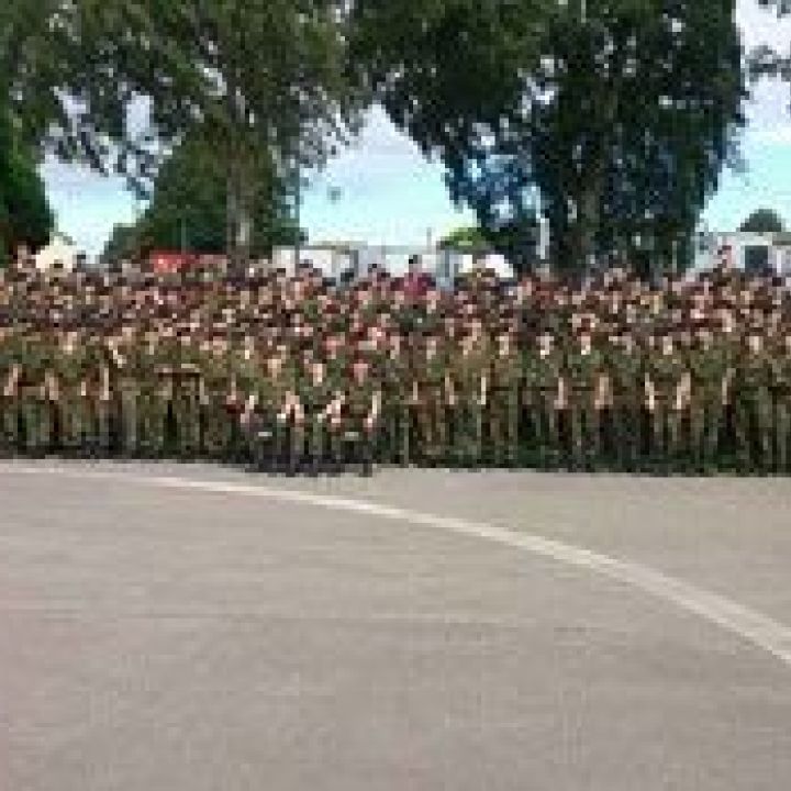 CATSEA- 30/08/2013