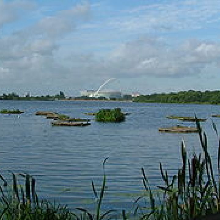 Off to the Welsh Harp