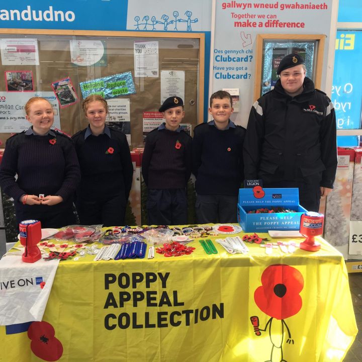 Poppy Selling