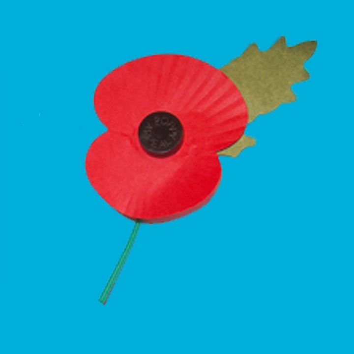 Chiswick unit on Remembrance parade