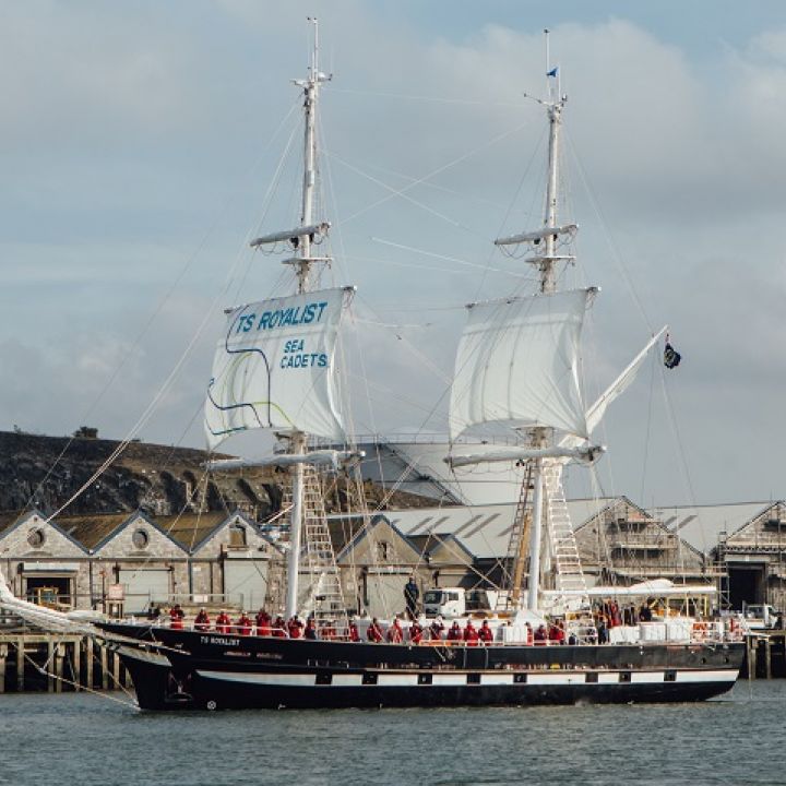 TS Royalist Like Sailors