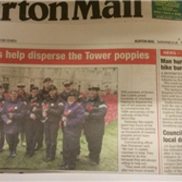 Tower of London Poppies