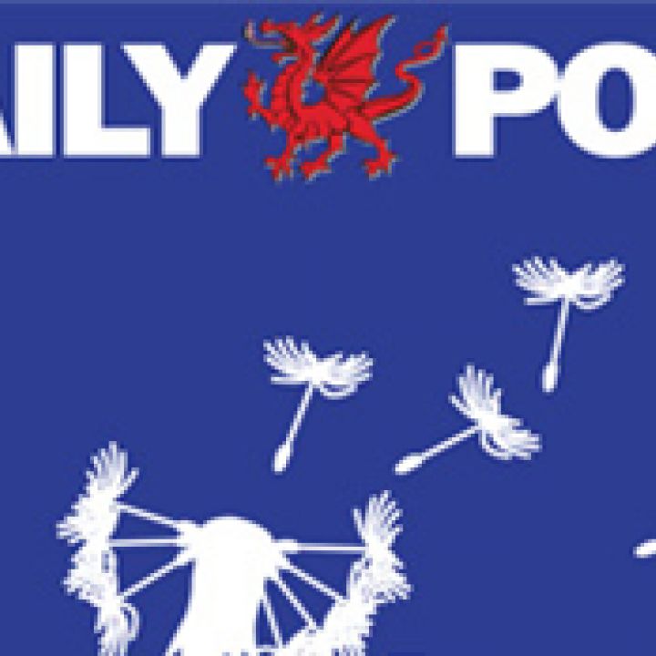 Daily Post Wish Campaign