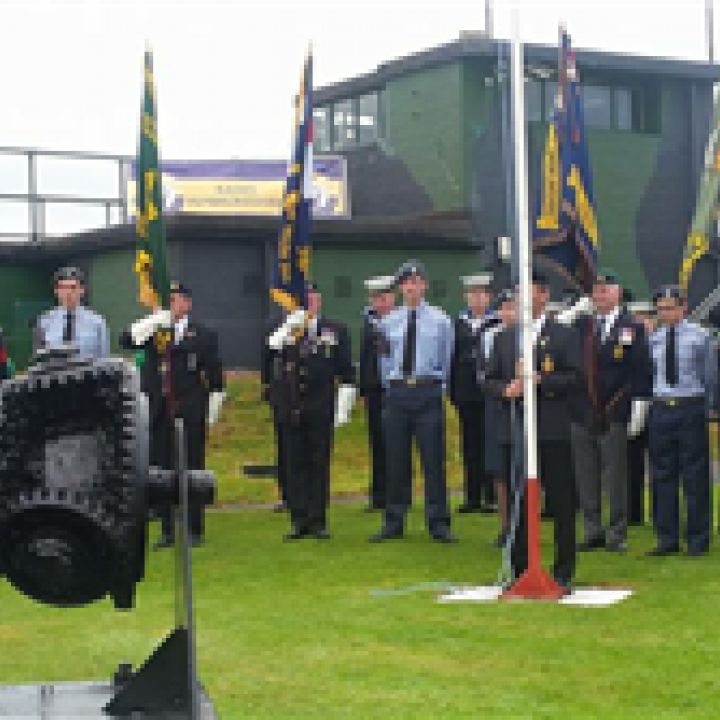 WINGS OVER CAREW 8th & 9th August 2015
