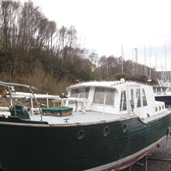 Madge Wildfire For Sale
