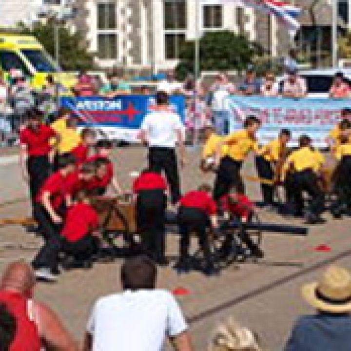 Armed Forces Day 2014