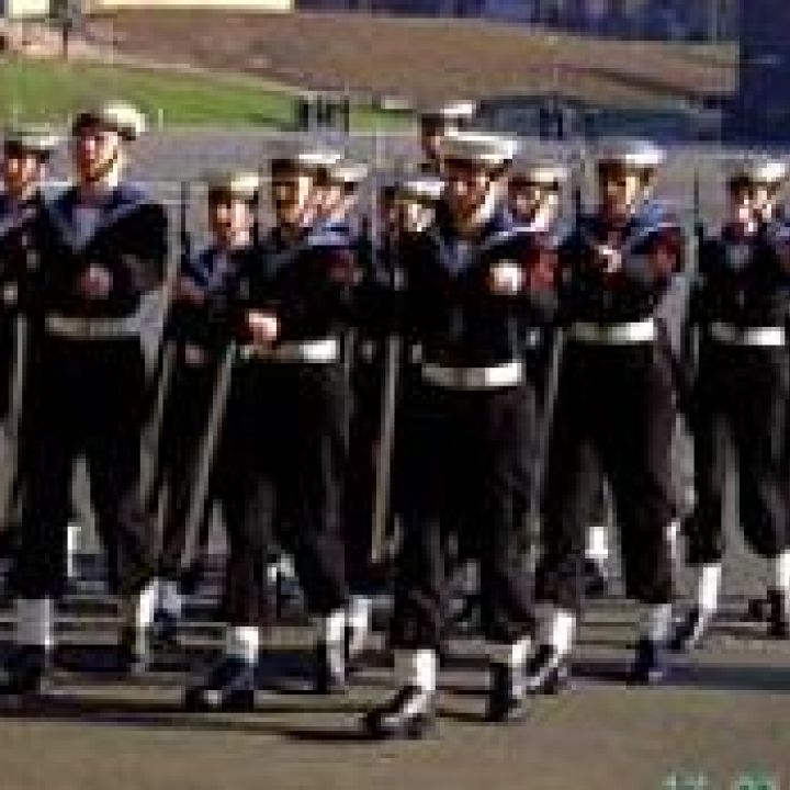 Team Falmouth 2008