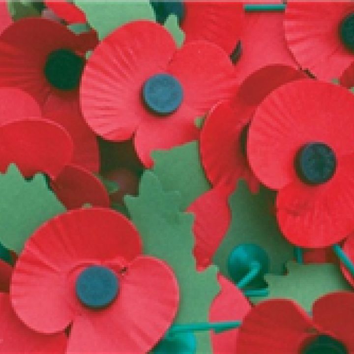 Poppy Appeal 2013