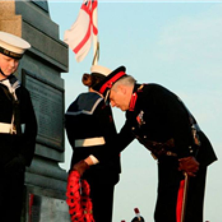 ARMISTICE DAY PARADE 2014