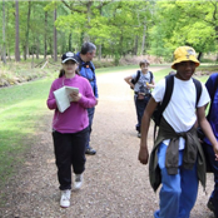 15th to 17th May 2015 New Forest Camping Weekend