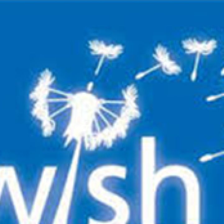 CHRONICLE WISH CAMPAIGN 2014