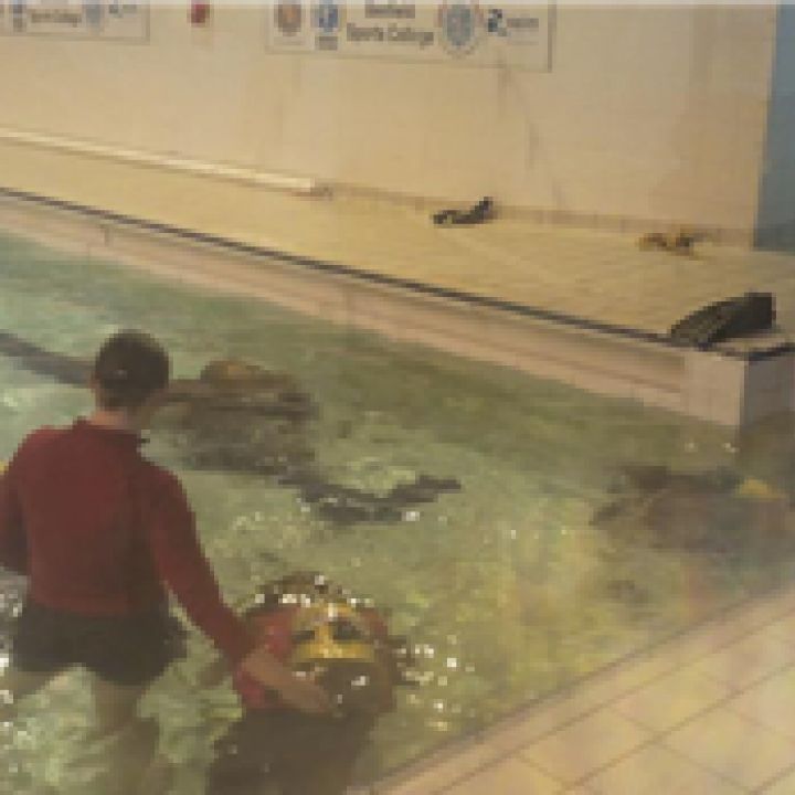 Try Dive