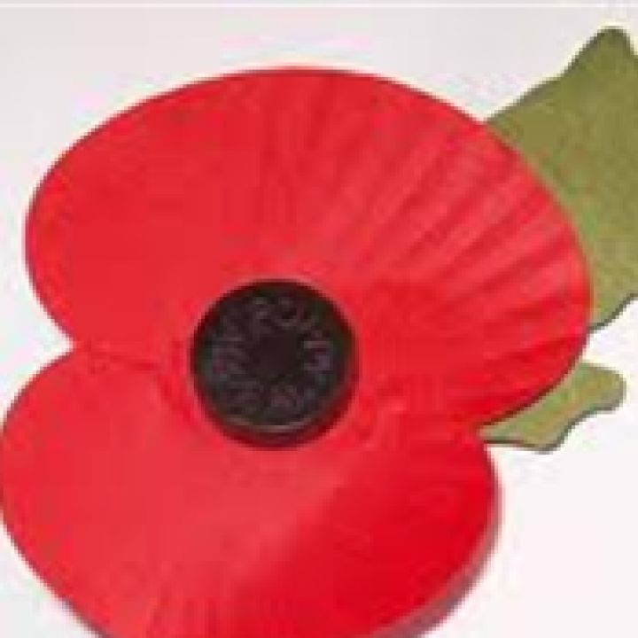 Torfaen on parade