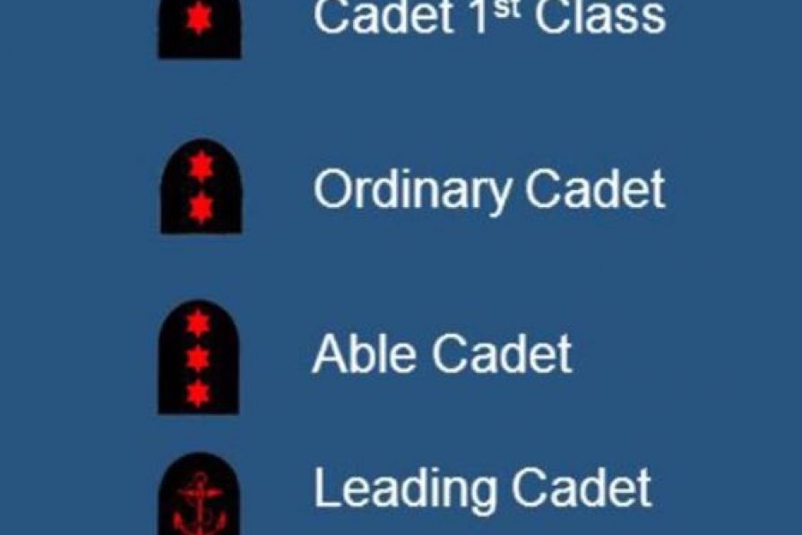 Badges of rank